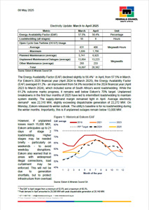 Electricity Update: March to April 2025