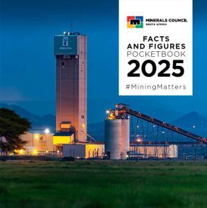 Facts and Figures 2025 Pocketbook