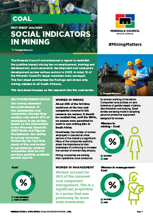 Fact sheet [icon]
