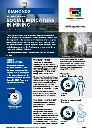 Fact sheet [icon]