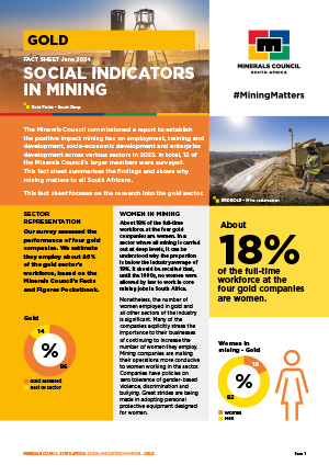 Fact sheet [icon]