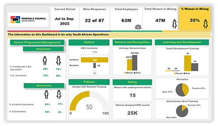 Women in Mining compliance reporting portal [thumbnail]
